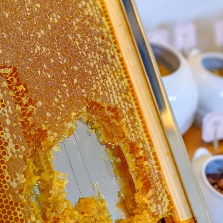 Hotel Mercure Finikoudes